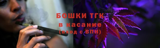 спиды Вяземский